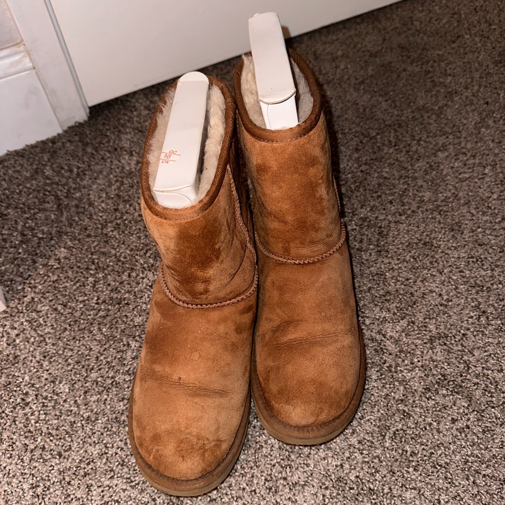 Classic Short Uggs in Chestnut